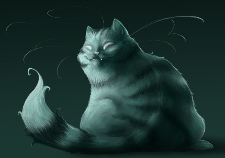 cat