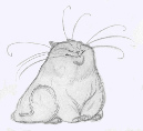 cats_01