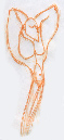 swimmers_02